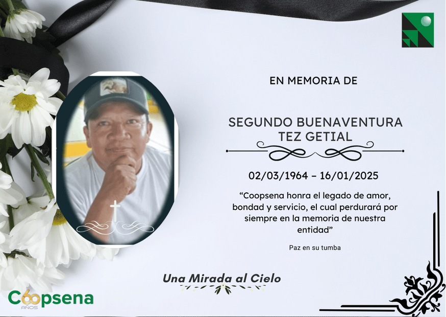 Descripción de la imagen 2