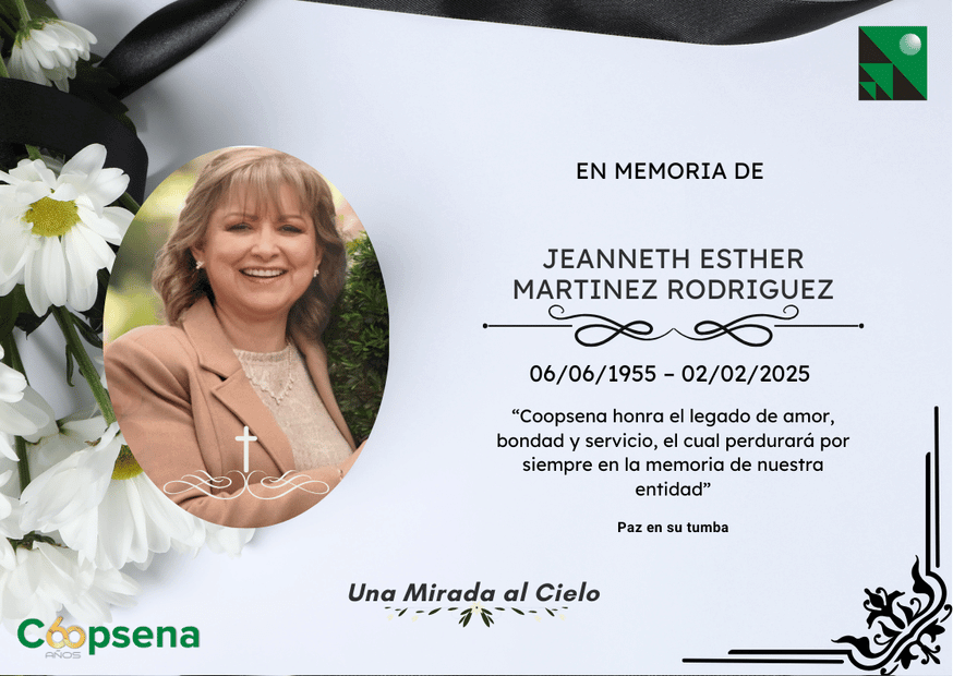 Descripción de la imagen 3