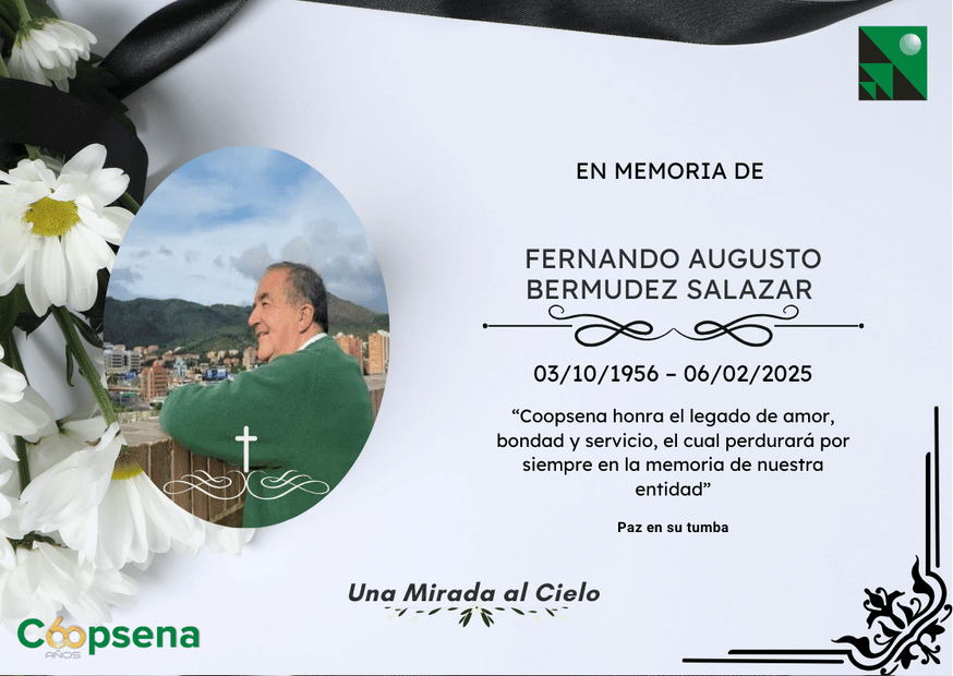 Descripción de la imagen 4