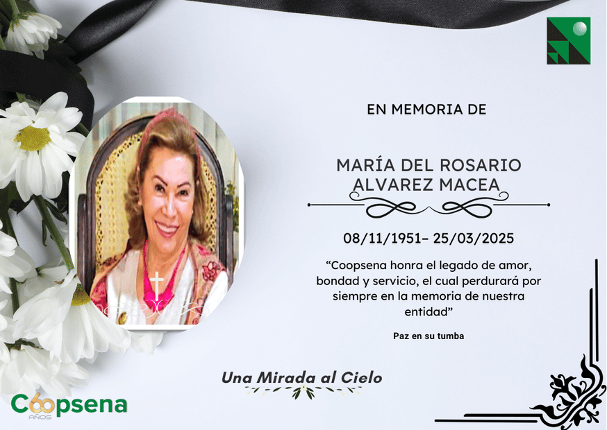 Descripción de la imagen 4