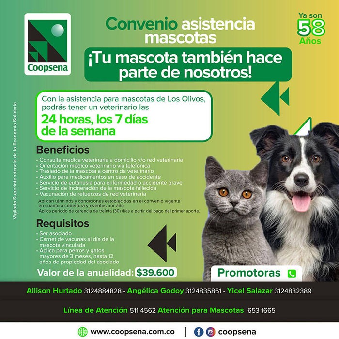 Póliza Asistencia de Mascotas