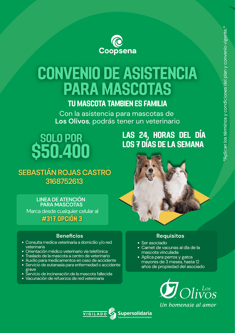 Póliza Asistencia de Mascotas