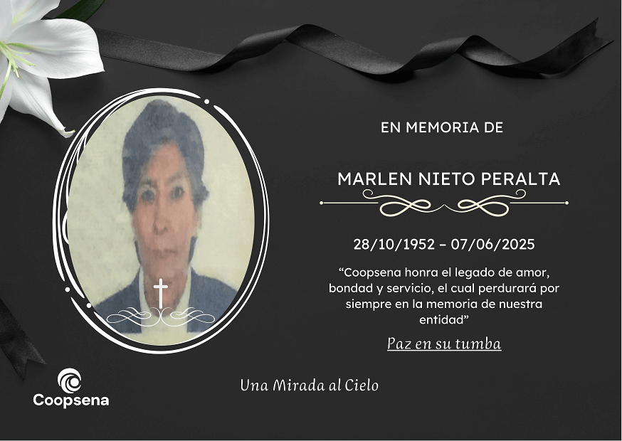 Descripción de la imagen 3