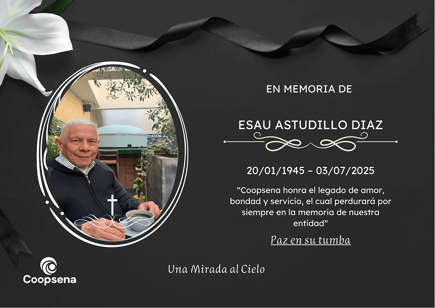 Descripción de la imagen 3