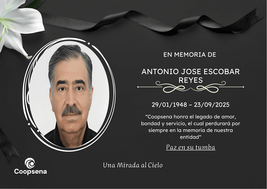 Descripción de la imagen 4