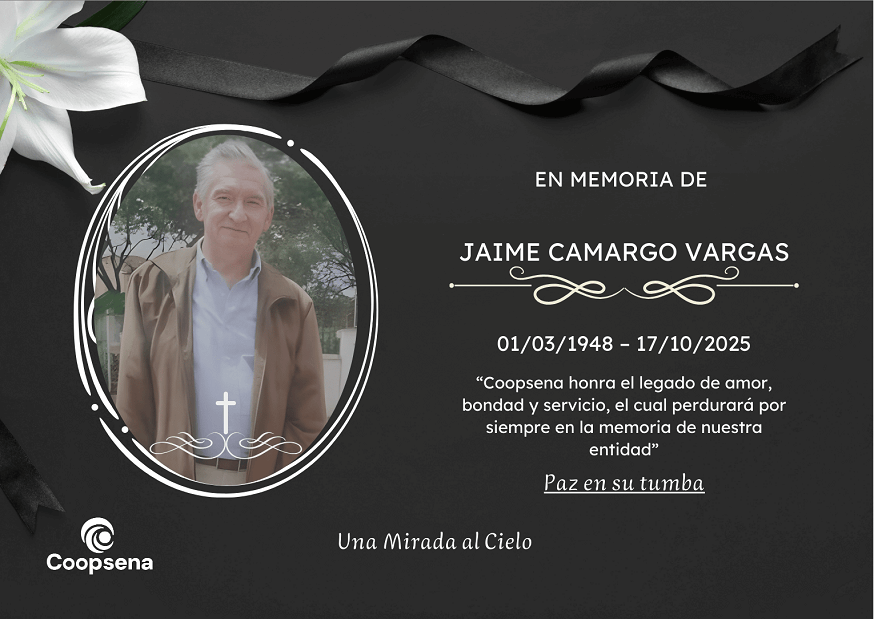 Descripción de la imagen 4