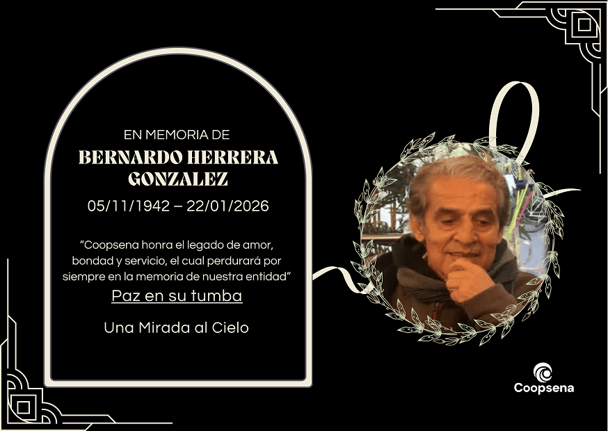 Descripción de la imagen 4