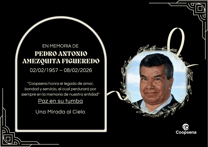 Descripción de la imagen 3