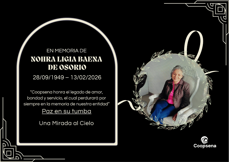 Descripción de la imagen 4