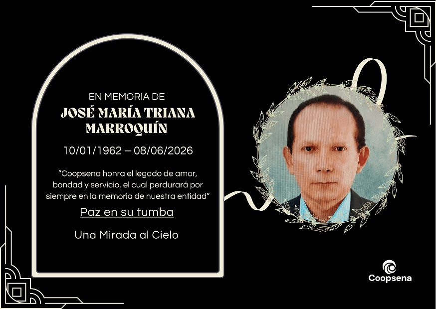 Descripción de la imagen 4