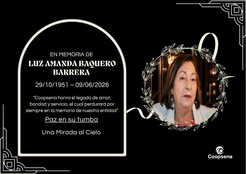 Descripción de la imagen 4